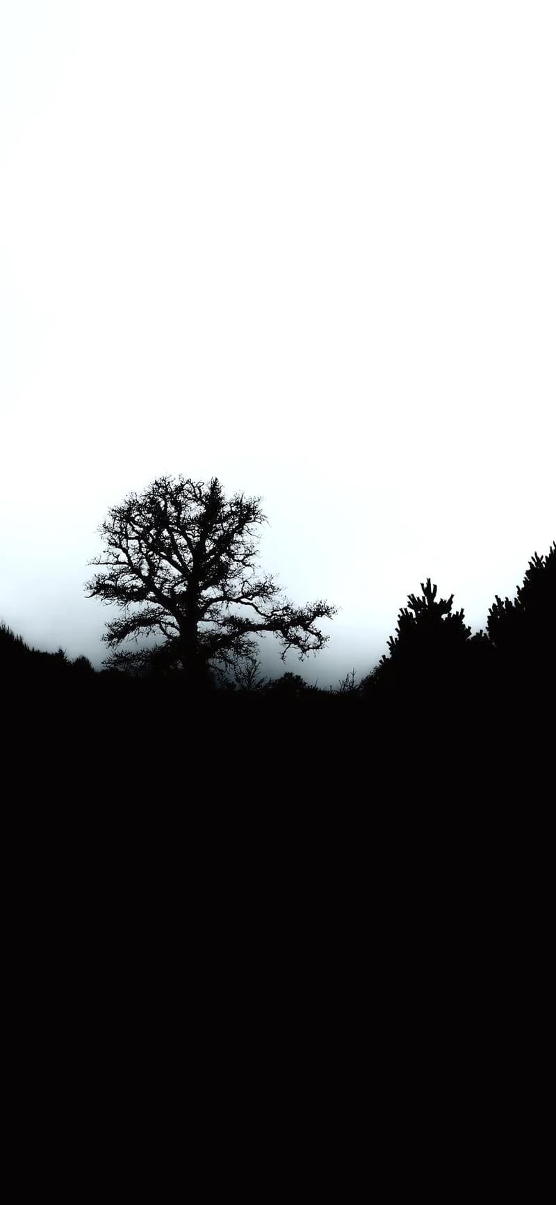 Minimalist View of a Lone Tree and Forest Silhouette Against a Foggy White Sky 4K Wallpaper