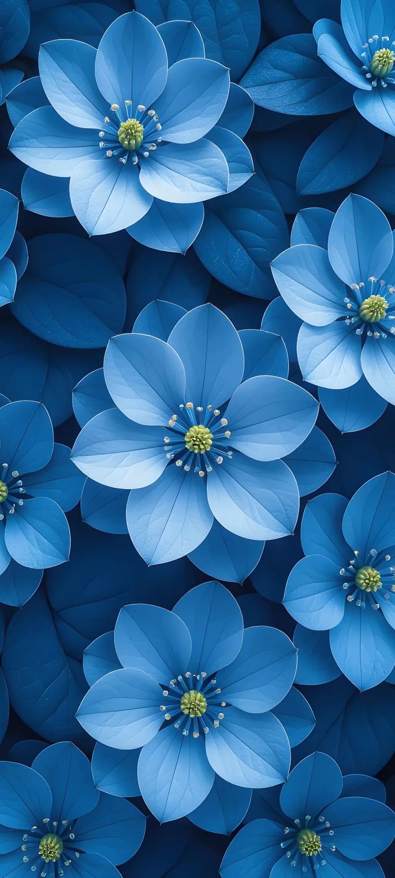 f Elegant Blooming Blue Flowers with Vibrant Yellow Centers 4K Wallpaper